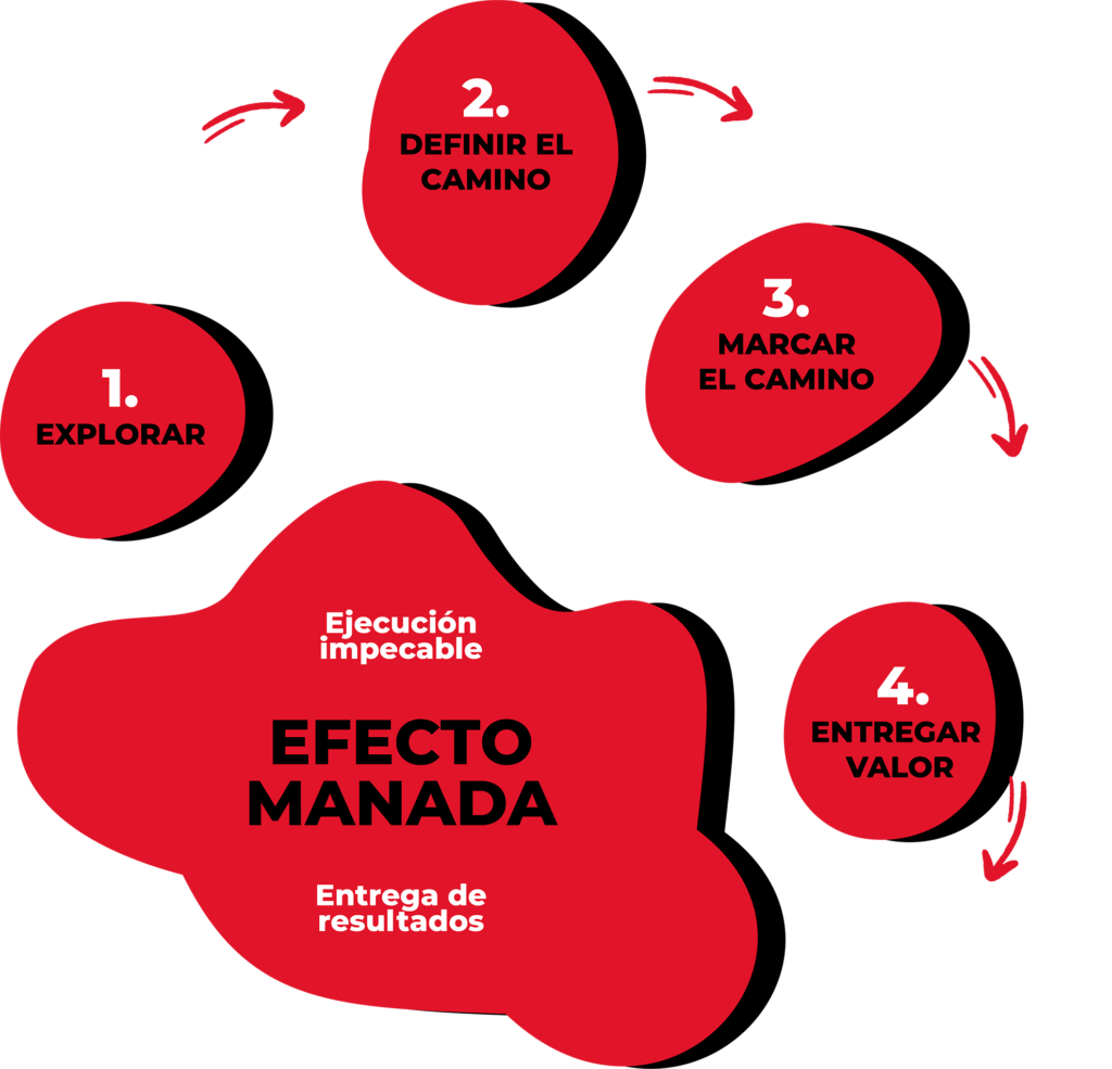 Ejecución impecable, efecto manada, entrega de resultados, explorar, auditoría de marca, definir el camino, definición de la estrategia, marcar el camino, definición del alcance, entregar valor, testeo y optimización