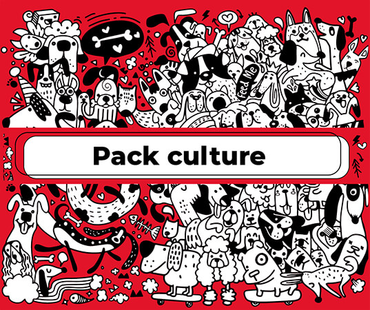 Pack culture